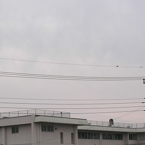2015-01-06_07：34 空模様　宇都宮